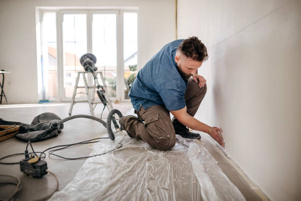 Best Fire-Damaged Drywall Repair  in Springville, UT