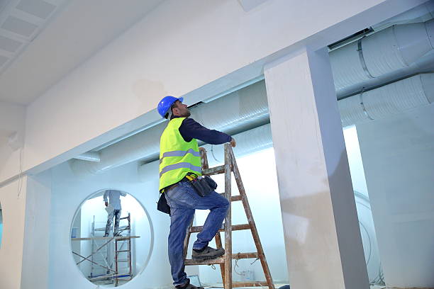 Best Eco-Friendly and Low-VOC Painting  in Springville, UT