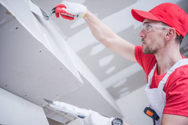 Best Drywall Removal and Disposal  in Springville, UT